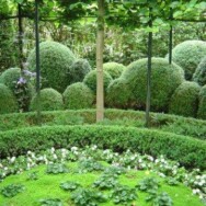 Foto-album, Tuinclub 10 juni 2007