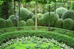 Foto-album, Tuinclub 10 juni 2007