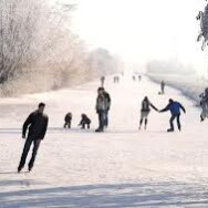 IJsmeesters gezocht !
