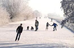 IJsmeesters gezocht !