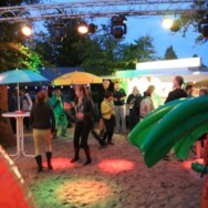 Foto-album Beachparty, 15 en 16 juni 2013