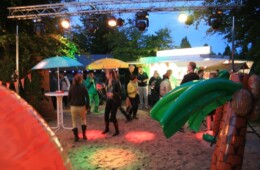 Foto-album Beachparty, 15 en 16 juni 2013