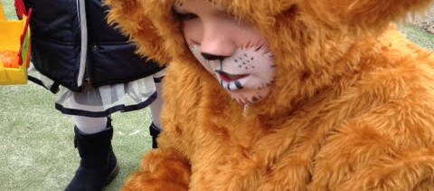 St Maarten: 9 november