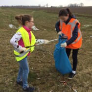 Foto-album, Zwerfafval 24 maart